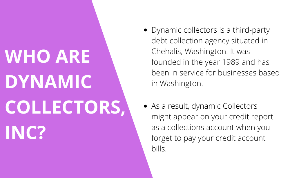 Who Are Dynamic Collectors, Inc?
